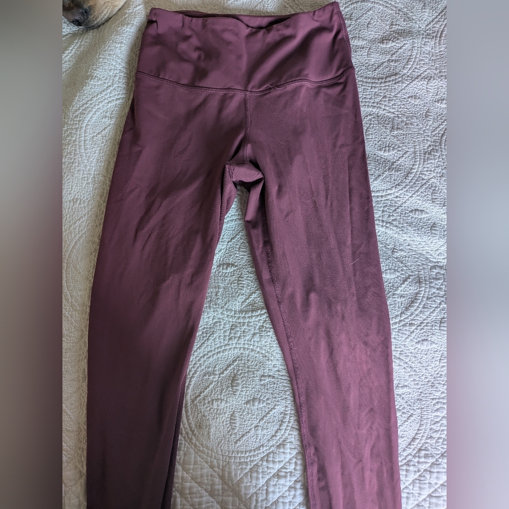 Yogalicious Mauve Leggings